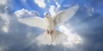 DUHOVI – Duh Sveti posvećuje naše duše i spašava ih