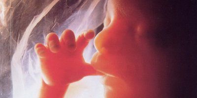 Sveta Stolica: Sigurni pobačaj nije mjera produktivnog zdravlja