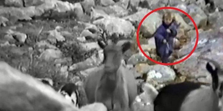 Godinama nije imao pojma da je snimio Modrića kako tjera koze po Velebitu