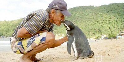ČUDESNA PRIRODA Svake godine pingvin prepliva više od 8000 km kako bi posjetio jednog čovjeka