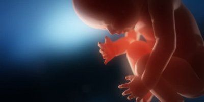 (VIDEO) ČUDO ŽIVOTA: Od oplodnje do poroda