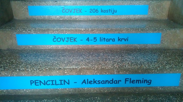 osnovna-skola-drinovci-3.jpg